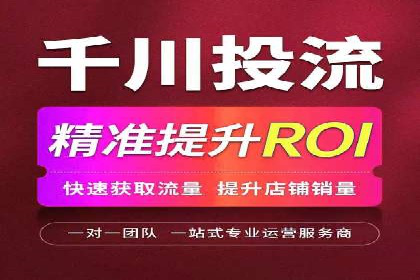 某公司SEO与SEM整合营销的全程记录